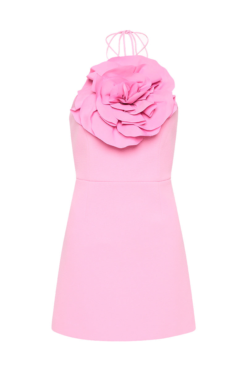 Odetta Halter Mini Dress in Pink – Nette